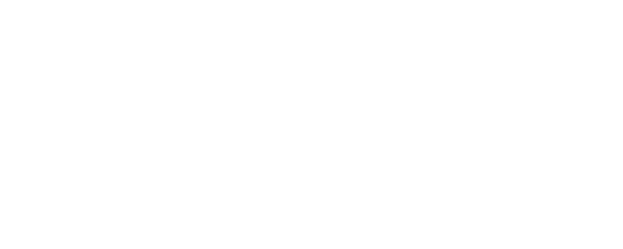 light logo